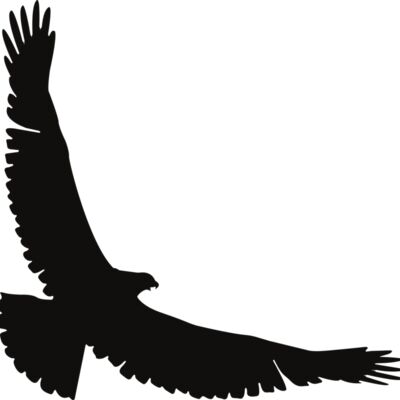 Eagle   Clipart 2 Thumbnail